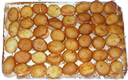 sos chabbat